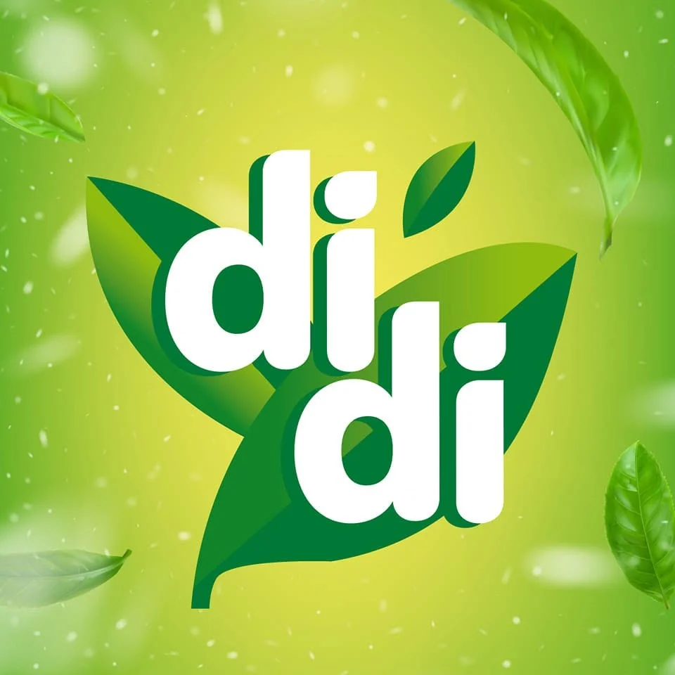 didi Logo